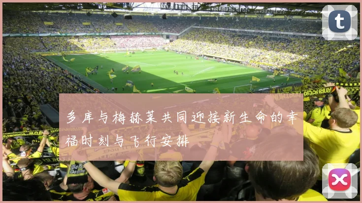 多库与梅赫莱共同迎接新生命的幸福时刻与飞行安排